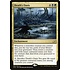 Magic: The Gathering Death's Oasis (182) Lightly Played