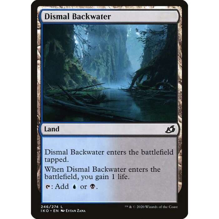 Magic: The Gathering Dismal Backwater (246) Lightly Played