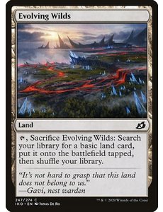 Magic: The Gathering Evolving Wilds (247) Lightly Played