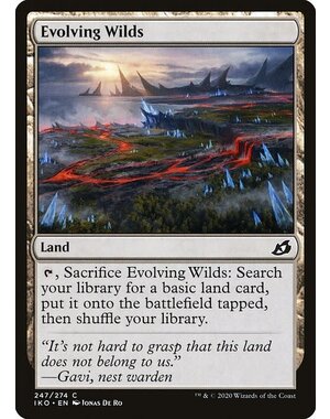 Magic: The Gathering Evolving Wilds (247) Lightly Played