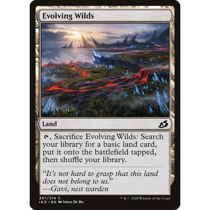 Magic: The Gathering Evolving Wilds (247) Lightly Played