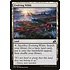 Magic: The Gathering Evolving Wilds (247) Lightly Played