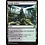 Magic: The Gathering Jungle Hollow (249) Lightly Played