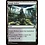 Magic: The Gathering Jungle Hollow (249) Lightly Played Foil