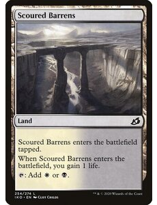 Magic: The Gathering Scoured Barrens (254) Lightly Played