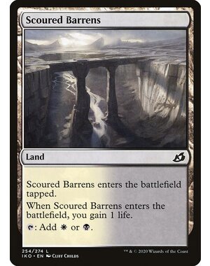 Magic: The Gathering Scoured Barrens (254) Lightly Played