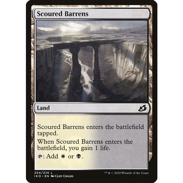 Magic: The Gathering Scoured Barrens (254) Lightly Played