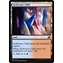Magic: The Gathering Swiftwater Cliffs (255) Lightly Played