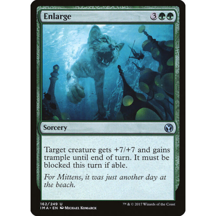 Magic: The Gathering Enlarge (162) Lightly Played