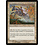 Magic: The Gathering Capashen Unicorn (010) Lightly Played