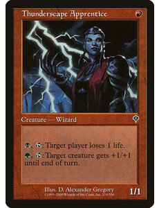 Magic: The Gathering Thunderscape Apprentice (174) Heavily Played