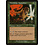 Magic: The Gathering Thornscape Apprentice (215) Lightly Played