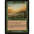Magic: The Gathering Tranquility (217) Lightly Played