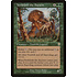 Magic: The Gathering Verdeloth the Ancient (220) Heavily Played
