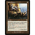 Magic: The Gathering Juntu Stakes (304) Lightly Played