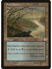 Magic: The Gathering Salt Marsh (326) Heavily Played