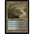 Magic: The Gathering Salt Marsh (326) Heavily Played