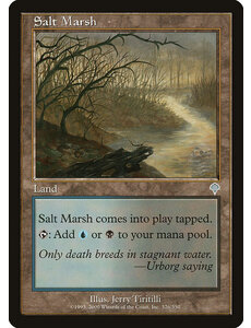 Magic: The Gathering Salt Marsh (326) Lightly Played