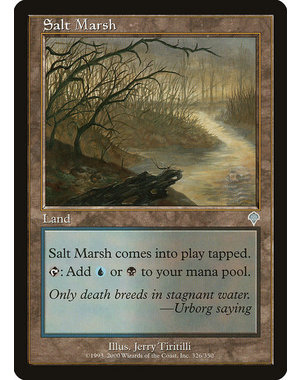Magic: The Gathering Salt Marsh (326) Lightly Played