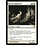 Magic: The Gathering Dearly Departed (009) Moderately Played