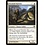 Magic: The Gathering Doomed Traveler (011) Moderately Played
