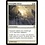 Magic: The Gathering Intangible Virtue (019) Moderately Played
