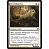 Magic: The Gathering Silverchase Fox (031) Moderately Played