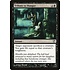 Magic: The Gathering Tribute to Hunger (119) Moderately Played