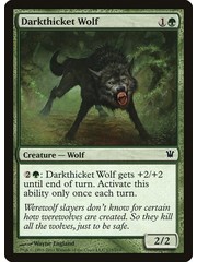 Magic: The Gathering Darkthicket Wolf (175) Lightly Played Foil