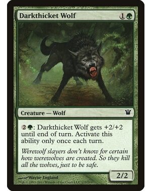 Magic: The Gathering Darkthicket Wolf (175) Lightly Played Foil