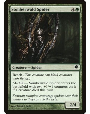 Magic: The Gathering Somberwald Spider (202) Moderately Played