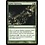 Magic: The Gathering Spider Spawning (203) Moderately Played