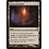 Magic: The Gathering Stensia Bloodhall (247) Moderately Played