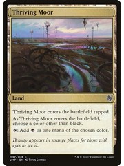 Magic: The Gathering Thriving Moor (037) Near Mint
