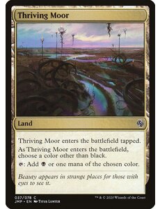 Magic: The Gathering Thriving Moor (037) Near Mint