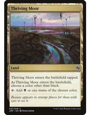 Magic: The Gathering Thriving Moor (037) Near Mint