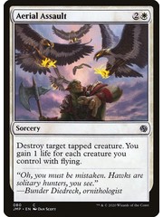 Magic: The Gathering Aerial Assault (080) Near Mint