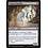 Magic: The Gathering Plagued Rusalka (268) Near Mint