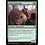 Magic: The Gathering Armorcraft Judge (377) Near Mint