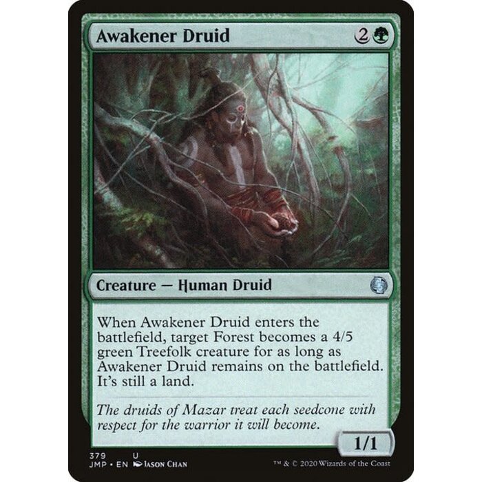 Magic: The Gathering Awakener Druid (379) Near Mint