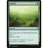 Magic: The Gathering Explore (393) Near Mint