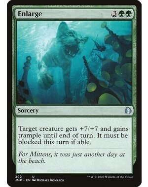 Magic: The Gathering Enlarge (392) Near Mint
