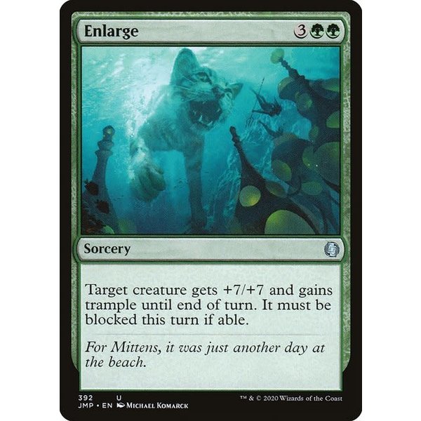 Magic: The Gathering Enlarge (392) Near Mint