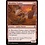 Magic: The Gathering Bloodshot Trainee (298) Near Mint