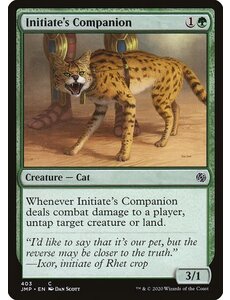 Magic: The Gathering Initiate's Companion (403) Near Mint