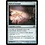 Magic: The Gathering Hall of Triumph (162) Lightly Played