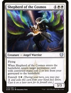 Magic: The Gathering Shepherd of the Cosmos (028) Near Mint