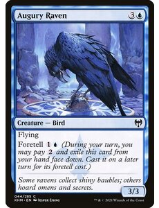 Magic: The Gathering Augury Raven (044) Near Mint Foil