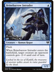 Magic: The Gathering Brinebarrow Intruder (049) Near Mint Foil