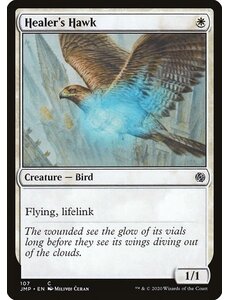 Magic: The Gathering Healer's Hawk (107) Near Mint